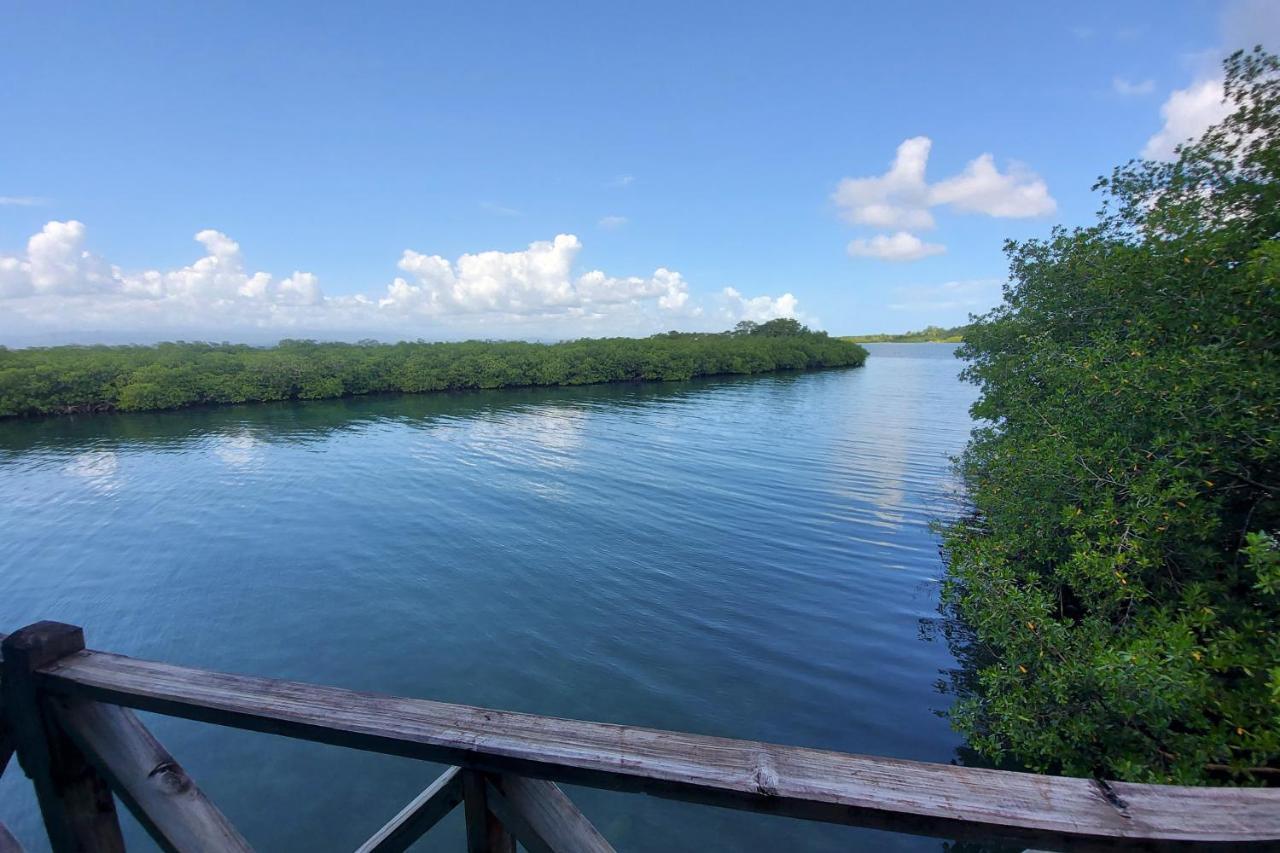 The Sunsetter Bed & Breakfast Bocas del Toro Eksteriør billede
