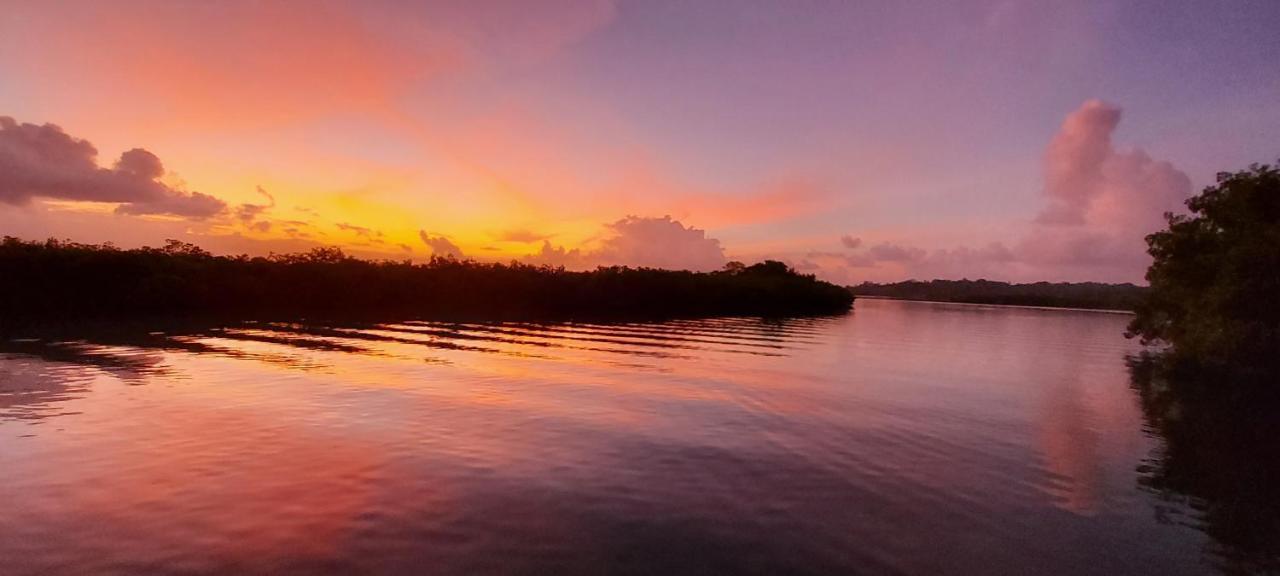 The Sunsetter Bed & Breakfast Bocas del Toro Eksteriør billede