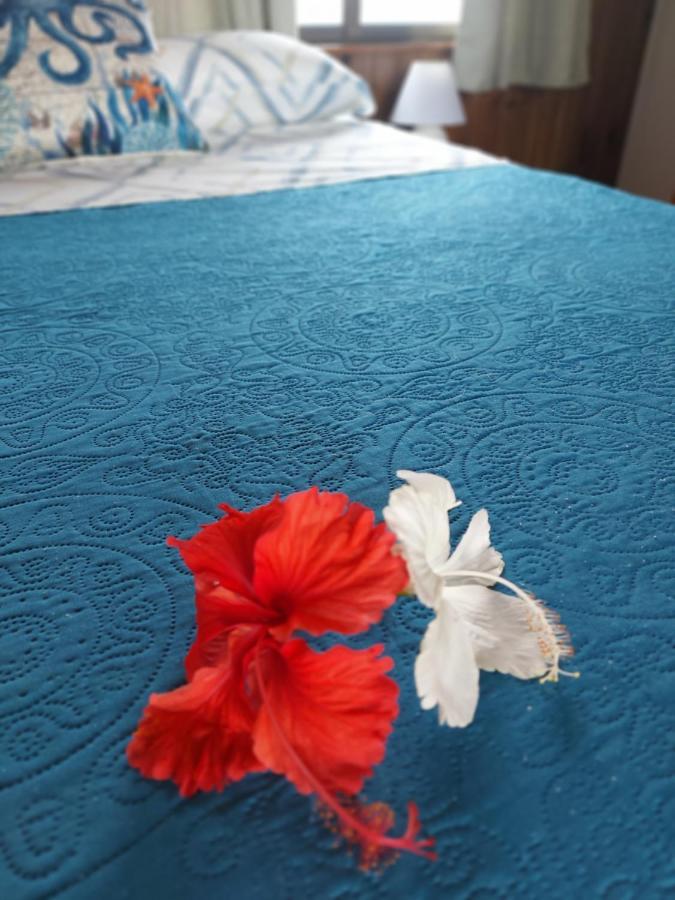 The Sunsetter Bed & Breakfast Bocas del Toro Eksteriør billede