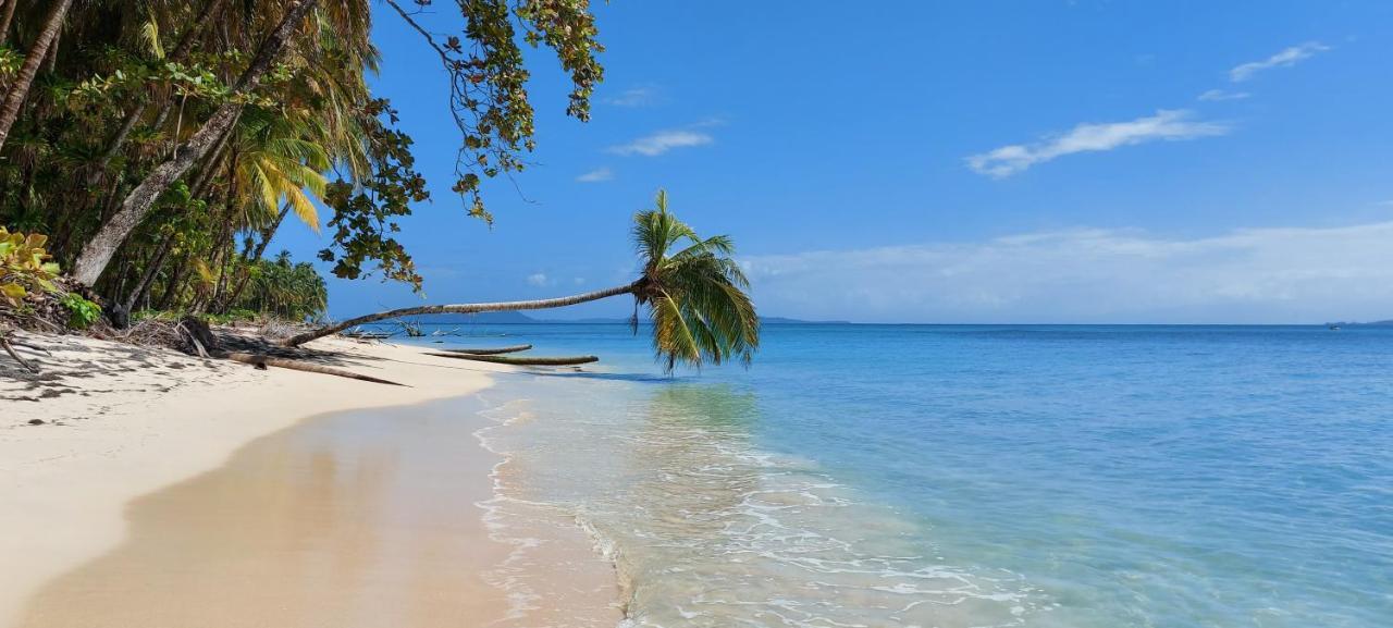 The Sunsetter Bed & Breakfast Bocas del Toro Eksteriør billede